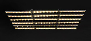 Warm white spectrum light